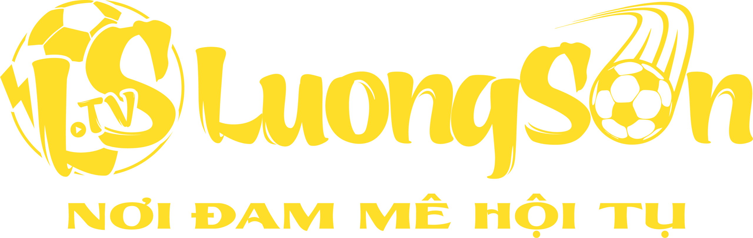 Logo Footer